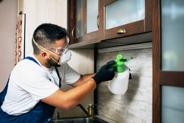 Reliable Fountain Inn, SC Pest Control Solutions
