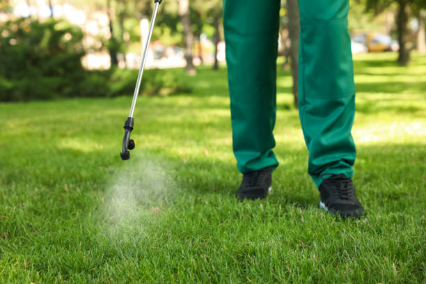 Wildlife Control Services in Fountain Inn, SC