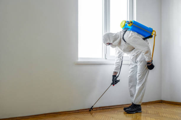 Reliable Fountain Inn, SC Pest Control Solutions