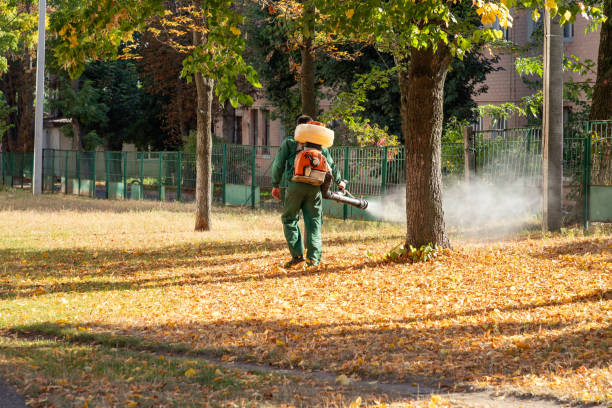 Wildlife Control Services in Fountain Inn, SC